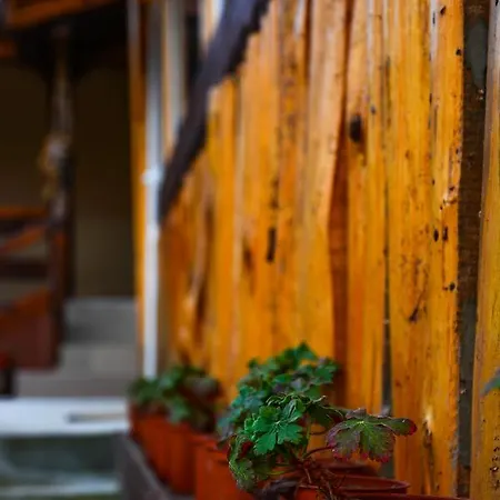 Predel Hut Lodge *